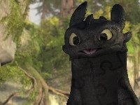 Smok, Jak wytresować smoka, How to Train Your Dragon, Nocna Furia