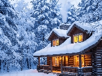 Oświetlony, Zima, Drzewa, Śnieg, Ośnieżone, Las, Dom