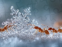 Śnieżynka, Śnieg, Mrówki, AI, Grafika