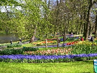 Kwiatowe, Park, Gazony, Spacerowicze
