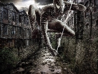 Spiderman