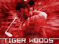 Sportowe Golf, Tiger Woods