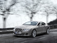 Sportowy, Bentley Continental GT, Samochód