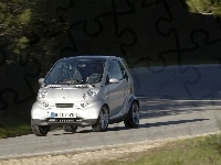 Srebrne Fortwo