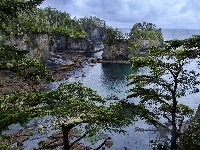 Stan Waszyngton, Drzewa, Morze, Półwysep Olimpijski, Skały, Stany Zjednoczone, Przylądek Cape Flattery, Brzeg