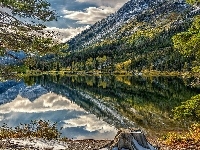 Stan Montana, Jezioro Pray Lake, Odbicie, Góry, Stany Zjednoczone, Park Narodowy Glacier, Świerki