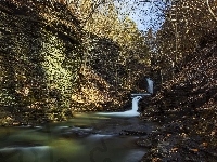 Stan Nowy Jork, Skały, Drzewa, Wodospad Montour, Stany Zjednoczone, Havana Glen Park, Kamienie