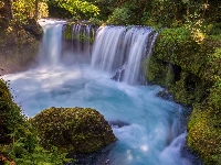 Omszałe, Stany Zjednoczone, Kamienie, Skały, Wodospad, Stan Waszyngton, Drzewa, Spirit Falls, Little White Salmon River, Rzeka