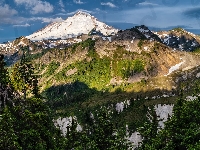 Stan Waszyngton, Szczyt, Góry Kaskadowe, Mount Baker, Stany Zjednoczone, Drzewa
