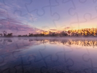 Jezioro, Stan Kolorado, Stany Zjednoczone, Park stanowy, Chatfield Lake, Wschód słońca, Mgła, Chatfield State Park, Drzewa