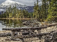 Stan Waszyngton, Jezioro, Ławki, Góry, Stany Zjednoczone, Park Stanowy Lake Wenatchee, Drzewa