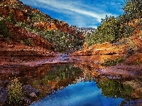 Stan Arizona, Rzeka, Drzewa, Kanion, Stany Zjednoczone, Park stanowy Slide Rock, Skały