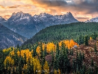 Lasy, Chata, Drzewa, Kolorado, Góry, Jesień, Stany Zjednoczone, San Juan Mountains