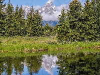 Park Narodowy Grand Teton, Drzewa, Chmury, Stany Zjednoczone, Góry, Rzeka, Wyoming