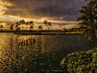Chmury, Akwen, Morze, Palmy, Lihue, Hawaje, Stany Zjednoczone, Ciemne, Wyspa Kauai