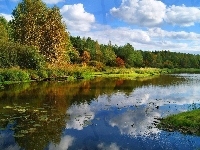 Staw
