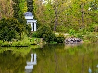Staw, Park, Altana, Krzewy
