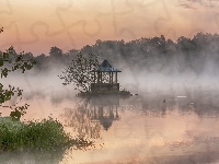 Staw, Mgła, Altanka, Drzewa