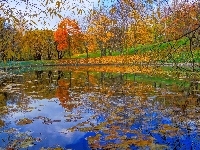 Staw, Jesień, Park, Drzewa, Liście