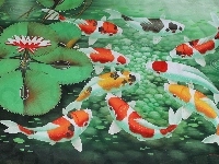 Staw, Karpie, Koi, Grafika