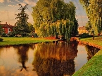 Staw, Jesień, Park, Dom