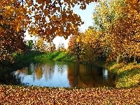 Staw, Jesień, Park, Kaczki