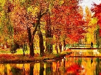 Staw, Jesień, Park, Mostek