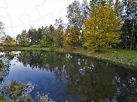 Staw, Jesień, Park, Odbicie