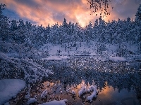 Zima, Staw, Śnieg, Norwegia, Gmina Ringerike, Drzewa
