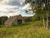 Brzozy, Budynek, Wzgórze, Stodoła, Roślinność, Drzewa