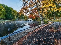 Park, Stół, Staw, Mostek, Jesień, Liście, Ławki