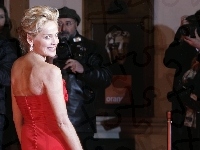 Sharon Stone, Uśmiech