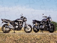 Centralna, Stopka, Yamaha XJR1300