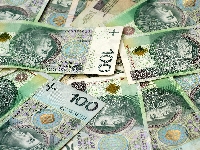 Stuzłotowe, Banknoty, Waluta