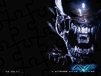 stwór, Alien Vs Predator 1, szczęka