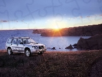 Forester, Subaru, SUV