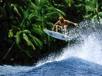 Fala, Surfing, Palmy