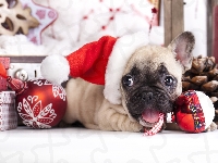Bombki, Mops, Czapeczka, Świąteczne