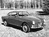 światła, maska, Alfa Romeo, koła , opony