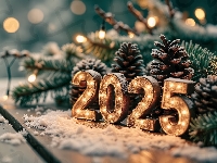 Szyszki, Nowy Rok, Sylwester, 2025, Śnieg, Gałązki