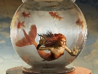 Rybki, Syrena, Akwarium