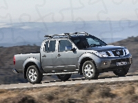 szary, Nissan Navara