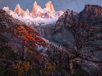 Szczyt Fitz Roy, Argentyna, Góry, Drzewa, Ośnieżone, Patagonia, Jezioro
