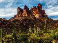 Rośliny, Skały, Góry, Szczyty, Chmury, Kaktusy saguaro