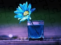 Szklanka, Niebieski, Kwiatek, Woda