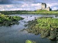 Szkocja, Skały, Zamek, Eilean Donan, Zielone