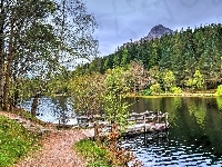 Szlak Glencoe Lochan, Drzewa, Lasy, Jezioro, Pomost, Szkocja, Góra Pap of Glencoe, Jesień