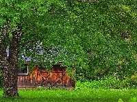 Szopa, Drewniany, Domek, Drzewo