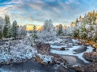 Kamienie, Szron, Drzewa, Finlandia, Rzeka Kiiminkijoki, Las