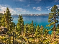Jezioro Tahoe, Drzewa, Stany Zjednoczone, Stan Newada, Wzgórza
